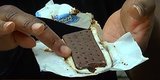 Walmart's Ice Cream Sandwiches Don't Melt In The Sun Walmart's Ice Cream Sandwiches Don't Melt In The Sun