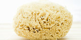 You Should Probably Stop Using A Loofah In The Shower. Sorry. You Should Probably Stop Using A Loofah In The Shower. Sorry.