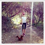 10 Adorable Celeb Pets That Work Out 10 Adorable Celeb Pets That Work Out