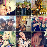 Stars Voted Took Selfies With