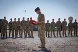 Most Compelling Pictures Veterans Commemorations