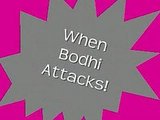 When Bodhi Attacks!