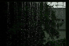 rain, rain: don’t go away