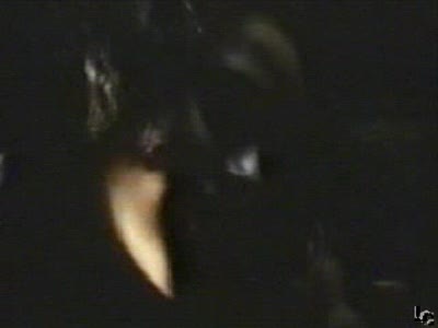 salma hayek-frida sex scene