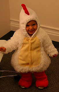 Sugarbabies: Cluck! Cluck! It's Chicken Katie!