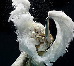 Beauty Pic of the Day