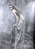 Beauty Pic - Name It