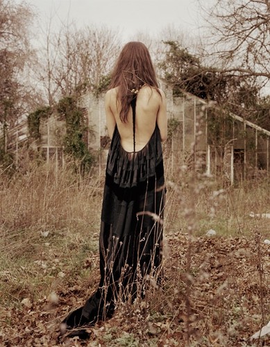 Looking For Roots