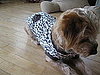 Miss Pru Gets Comfy Cozy With Handmade, Remade Clothing