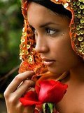 Beauties of the Globe Series! India - Indian Rose!