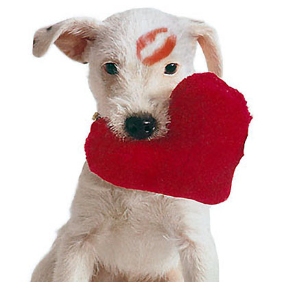 MyPetValentine - Mug of the Month