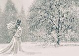 Frozen Angel