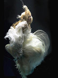 Ethereal
