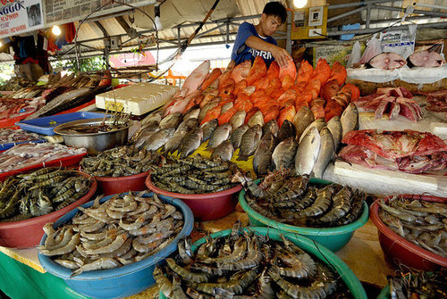 Yummy Links: From Sustainable Seafood to Baconfest