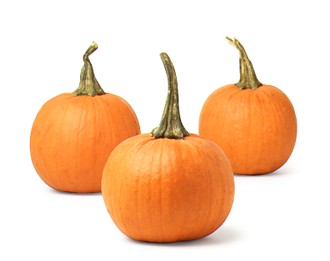 Chicken Pumpkin Stew Chicken Pumpkin Stew