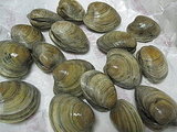 Giada De Laurentiis' Clams Casino Recipe