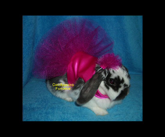 Too Tutu Cute