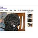Petfinder