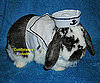 Lucky Rabbit, Next Year the Costume Fairy Comes For You
