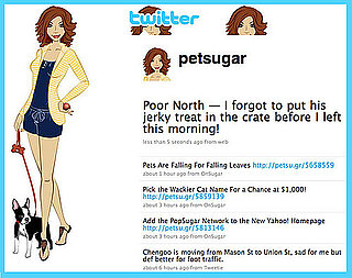 Follow PetSugar on Twitter! 