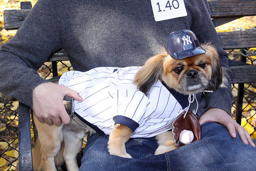 Go Yanks! Go Yanks!
