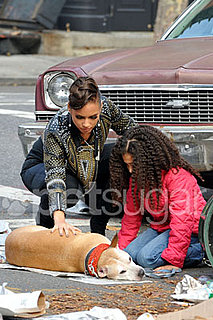 In the Spotlight: Alicia Keys Has a Furry Run-In On Set!