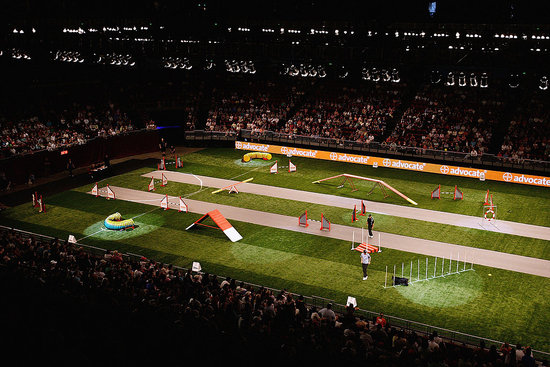 Acer Arena