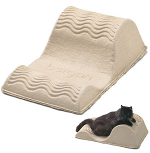 For Nine Bucks, Felines Can Beat This Eco-tastic Lounge to a Pulp