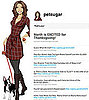 Follow PetSugar on Twitter! 