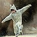 Max, Where the Wild Things Are