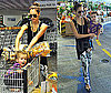 Photos of Jessica Alba and Honor at the Grocery Store 2009-10-16 15:47:21
