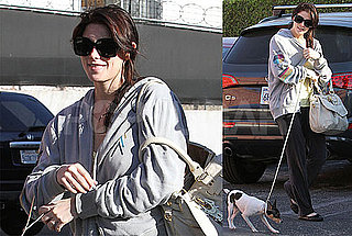 Photos of New Moon's Ashley Greene Walking Her Dog in LA
