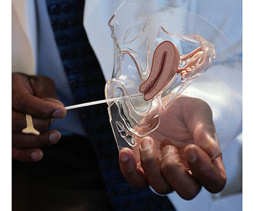 2-5 Pounds For Uterus 2-5 Pounds For Uterus
