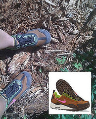 Nike ACG Wildedge GTX Shoe