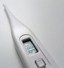 Should You Starve a Fever?