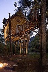 Would You Live in a Tree House?