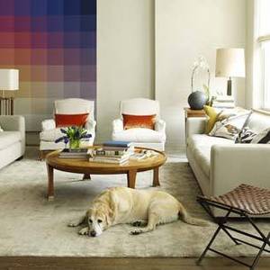 Roundup: Orange Accents