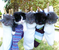 The Dark Side of Cute The Dark Side of Cute