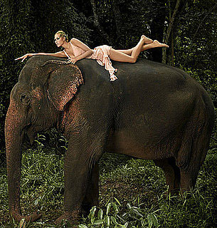 Best of Bella 2009-11-15 07:03:34