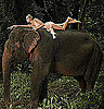 Best of Bella 2009-11-15 07:03:34