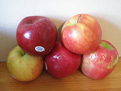 Australian Scientists Develop Apple With Long Shelf Life