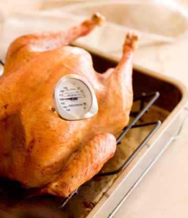 Burning Question: At What Temperature Is a Turkey Cooked?