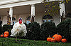 Yummy Links: From Pardoned Turkeys to Healthy Stuffing