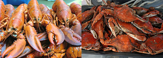 Would You Rather Eat Lobster or Crab? Would You Rather Eat Lobster or Crab?
