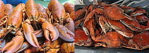 Would You Rather Eat Lobster or Crab?