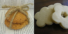 Would You Rather Eat Ginger Cookies or Sugar Cookies? Would You Rather Eat Ginger Cookies or Sugar Cookies?