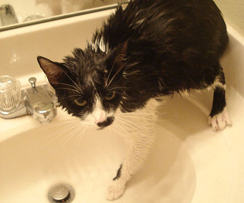 Testing For (No) Water Testing For (No) Water