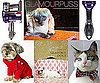 Pet's December Must Haves 