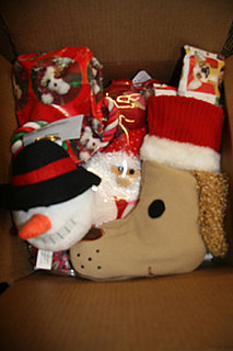 Will Your Pets Get Gifted This Holiday Season?