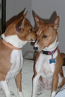 Got Something to Bark About This Year? Join My Best of 2009 Group and Share Your Thoughts